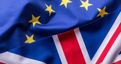 Vet industry responds to UK-EU summit commitments
